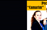 /album/galeria-de-fotos/vas-png/